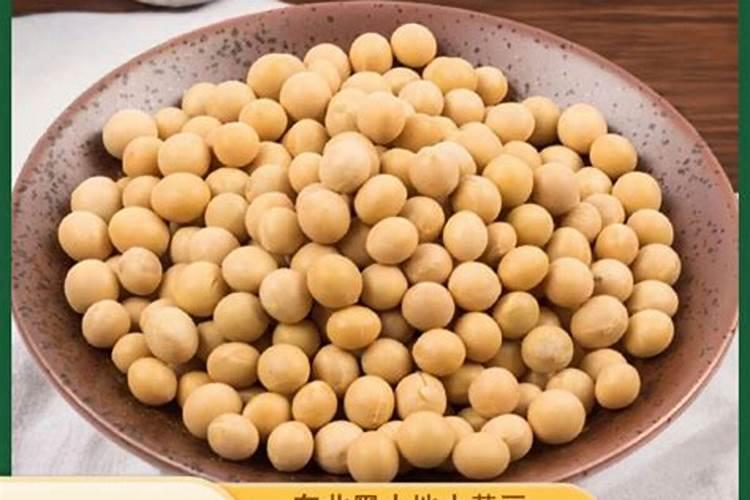 豌豆的高产种植要点是什么？它的生长习性是什么？