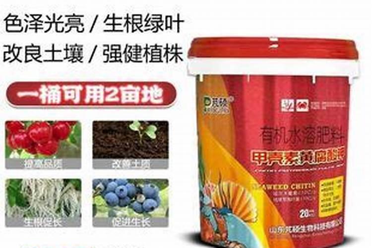 多肉植物如何养