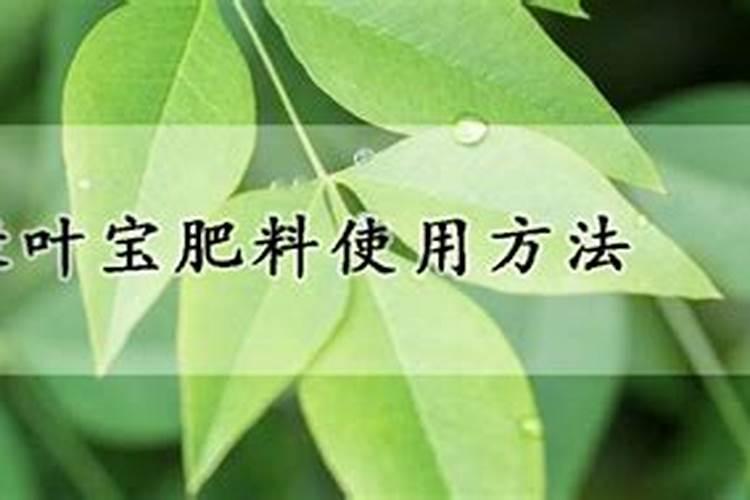 蝴蝶兰怎么施肥