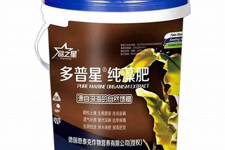 白兰花叶子发黄掉落怎么办？