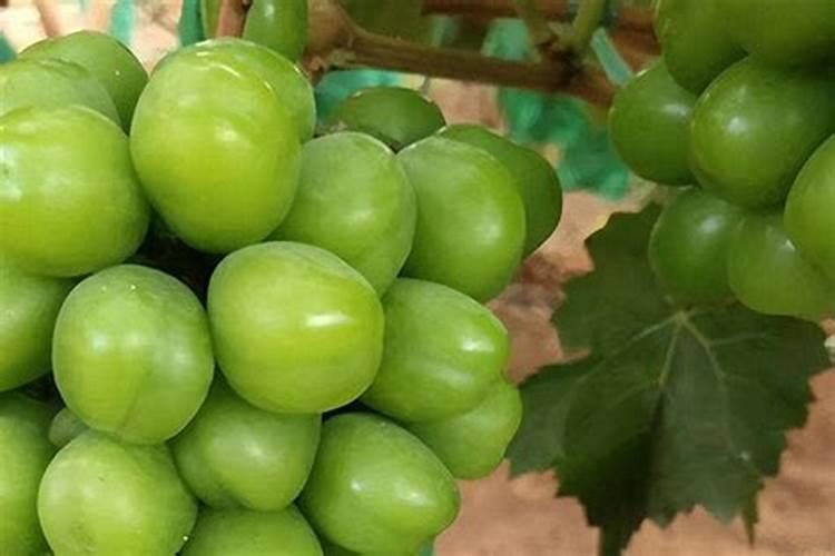 江苏的矿产资源是如何开采利用和保护的