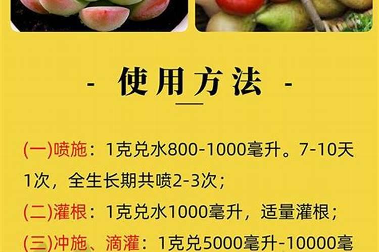 给香蕉套袋去除叶子吗？