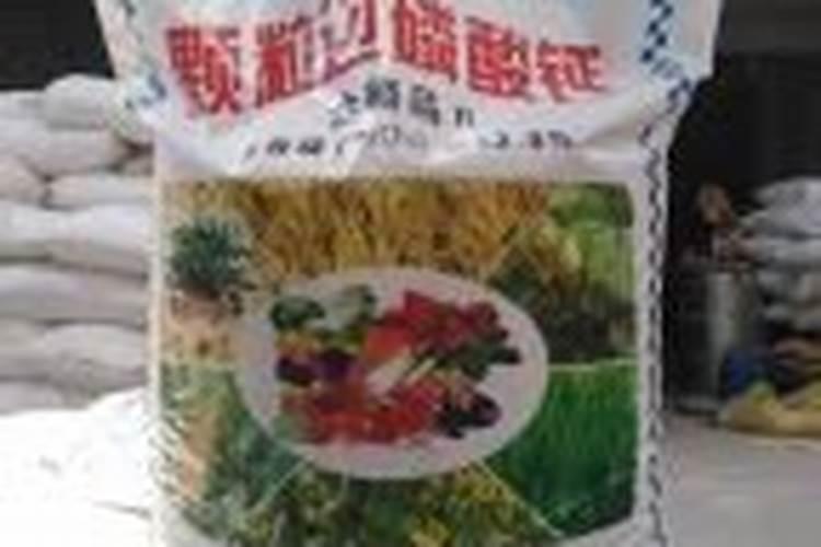 海藻肥哪个品牌的好