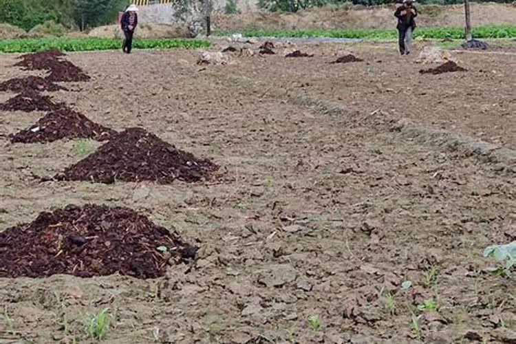 AIP饮食调料篇:为什么自身免疫病不建议吃日常市售的酱油？