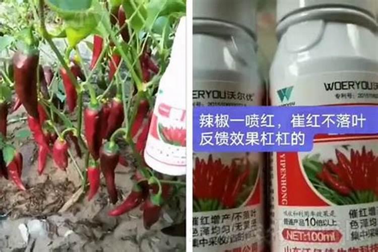 ...价红三角复合肥三个15硫酸钾型多少钱一袋100斤？i