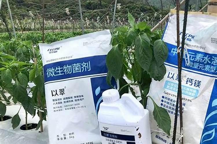 有机水溶肥具有哪些优势呢？