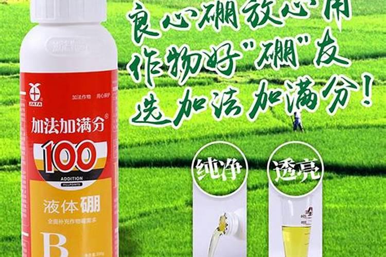 大米的成分有哪些物质