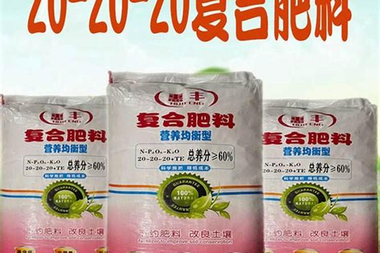 番茄长出叶子后的高度是多少？