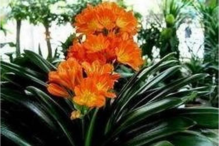 家长必看,盘点近五年出过安全事故或被通报过的宝宝奶粉