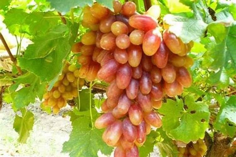 海砂属于什么资源类型