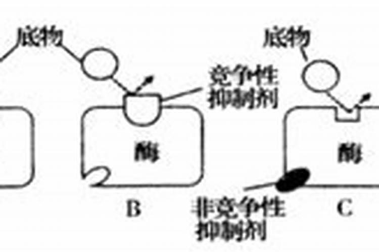 樱桃姐姐6号水溶肥的使用方法及注意事项