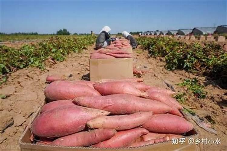 康巴克的铁锅二件套值得购买吗