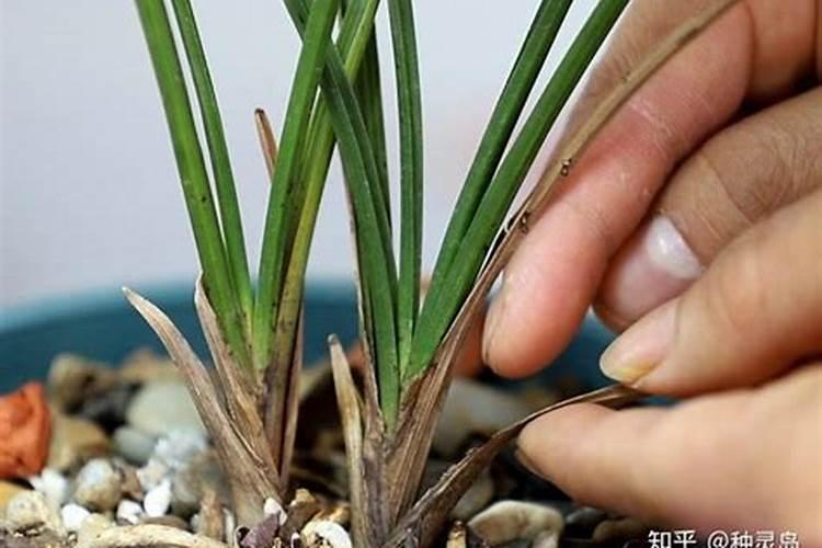 工资很低的工作