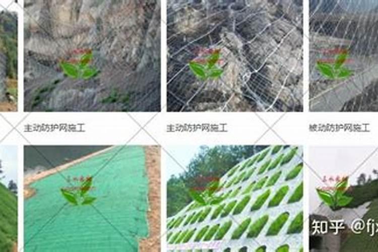 17日开盘,农夫山泉股价大增,该公司股价大增的原因有什么？