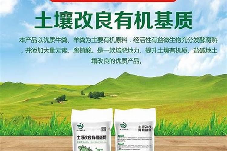 绵竹市涌泉白肥厂怎么样？
