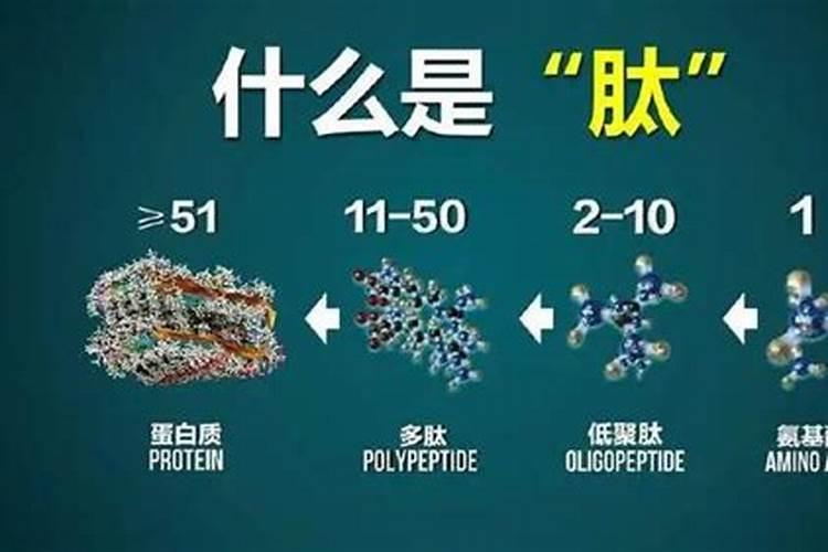 绿肽尔水溶肥怎样施肥