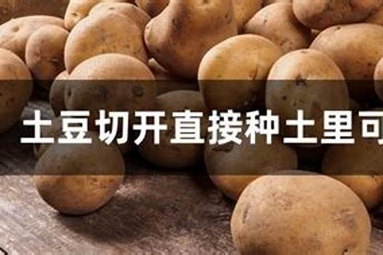 种植土豆不下底肥用沟施可以么