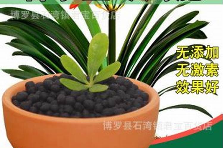 miorio黄糖去角质好用吗miorio黄糖去角质怎么样