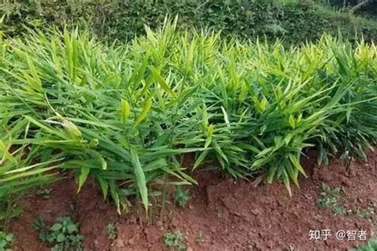 深呼吸有什么好处 正确深呼吸有诀窍