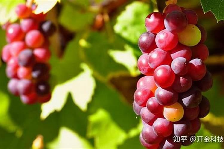 大量氮磷钾肥料产生的后果