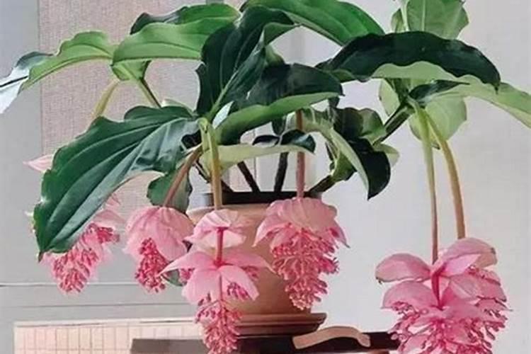 廊坊播恩八维饲料公司地址