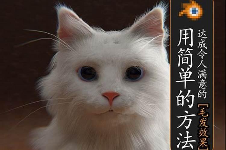什么是毛肥