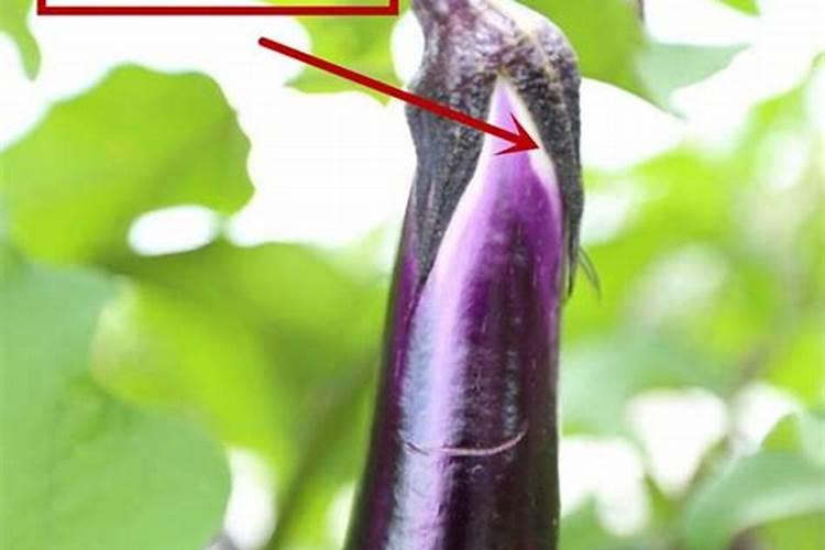 男的大多数都不喜欢胖点的女的当老婆,对不？