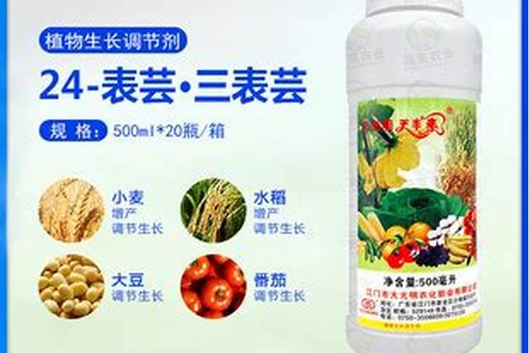 芸苔素可以解药害吗