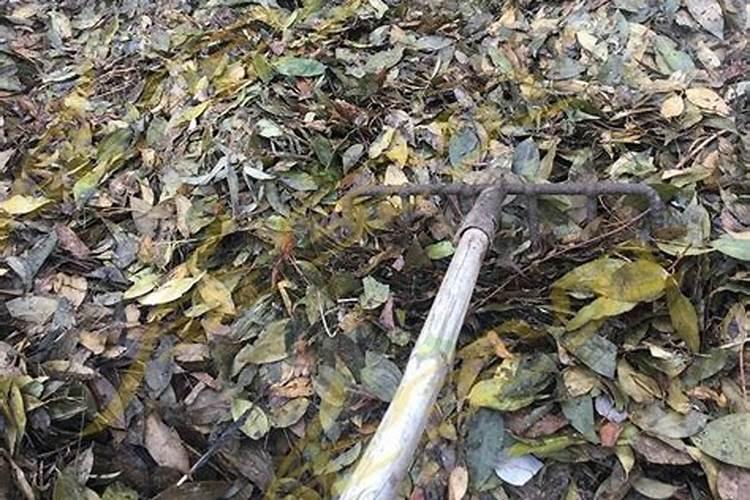 生物磷钾肥是什么肥料