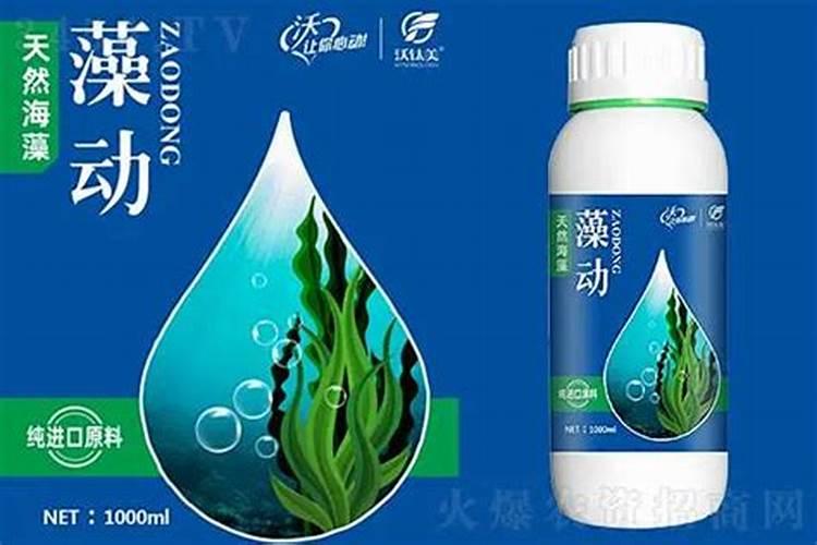 海藻精的正确使用方法
