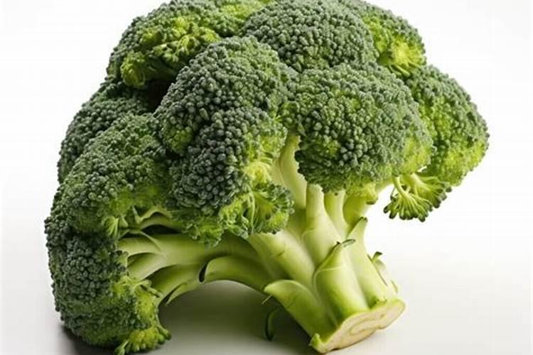 西兰花追肥用什么肥料好