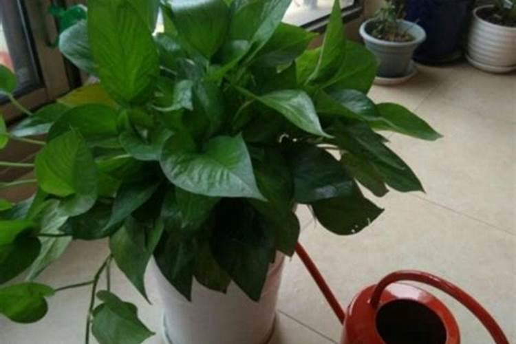 临猗旅游景点有哪些