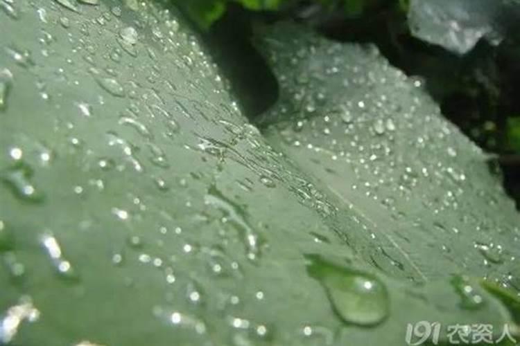 请问什麼态的氮肥利於植物？铵跟氨跟胺,有甚麼差别