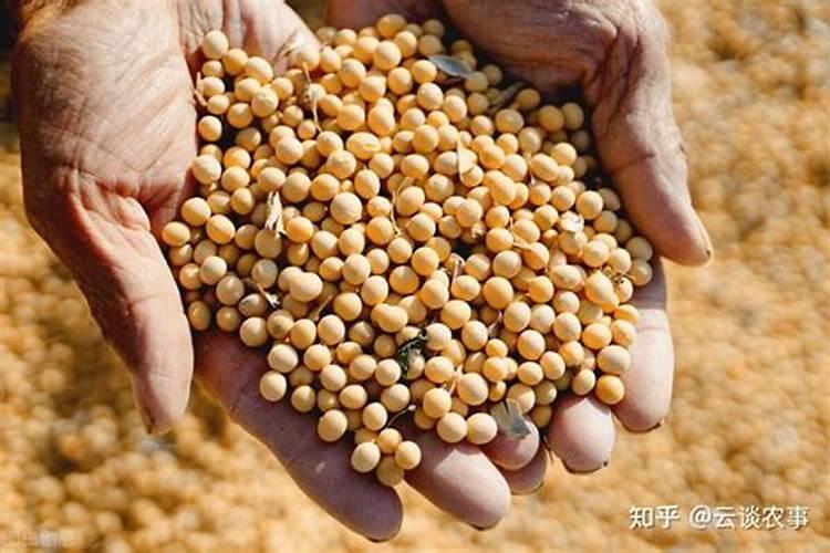 给大豆施肥,需要选用什么样的肥料？