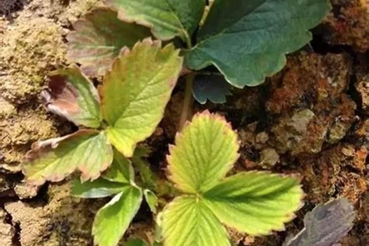 上海线下开盘在外场看到销控表吗