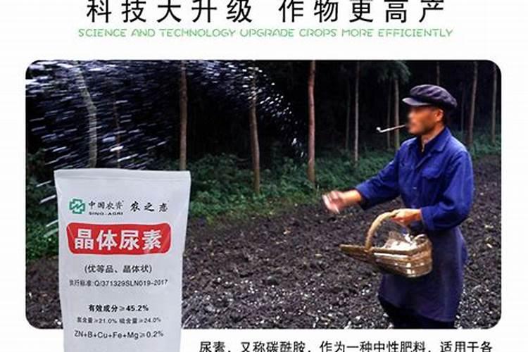蔬菜喷施绿叶素后几天能够食用