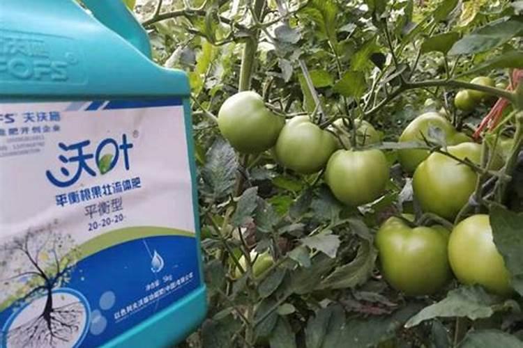 馒头可以做肥料吗