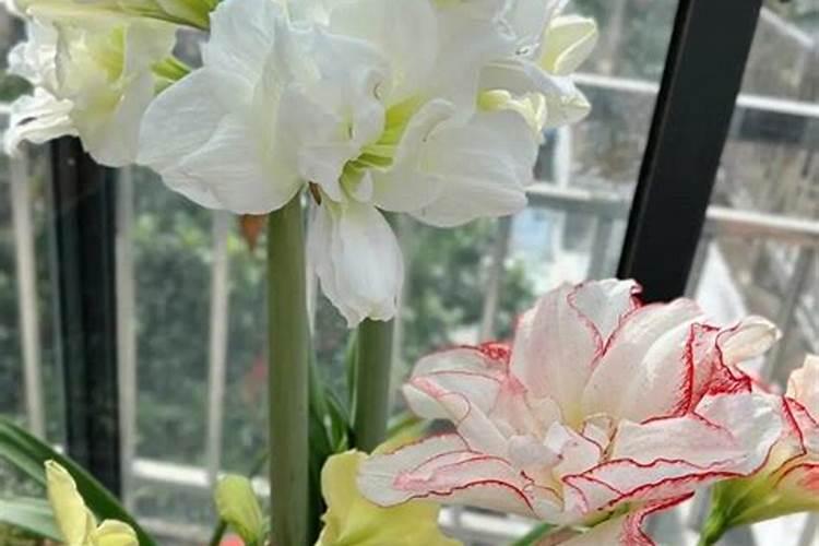 缓释液体氮肥有效果吗,液体氮肥的使用方法