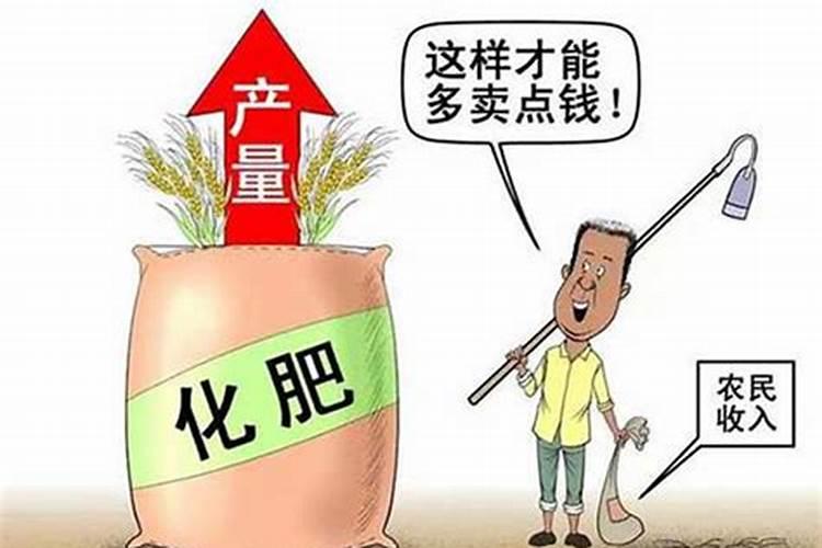 黑豆能做花肥吗 黑豆可以当肥料养花吗