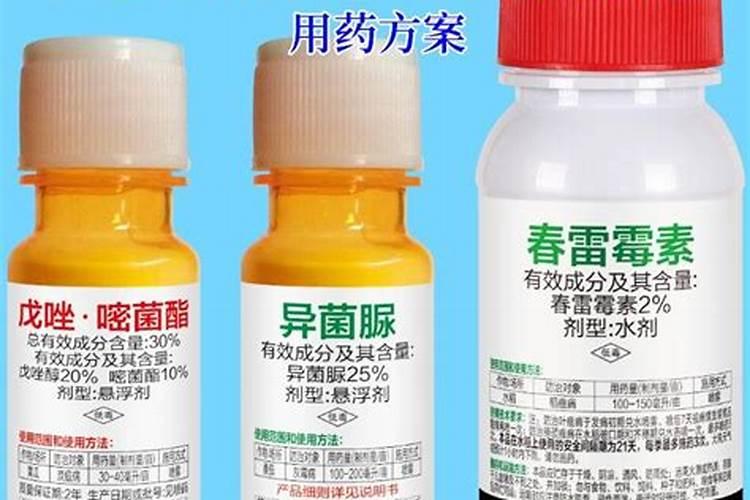 春雷霉素在柑橘上药害有哪些表现