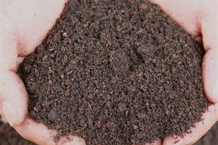 最好的有机肥是那种？