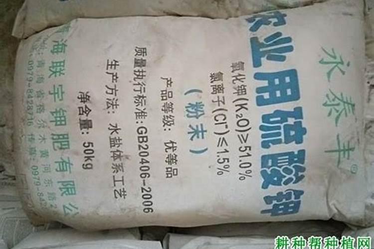 用叶面肥叶叶黄了怎么处理