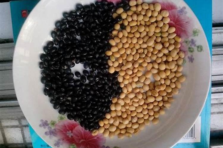 黄豆做肥料力量大还是黑豆做肥料力量大