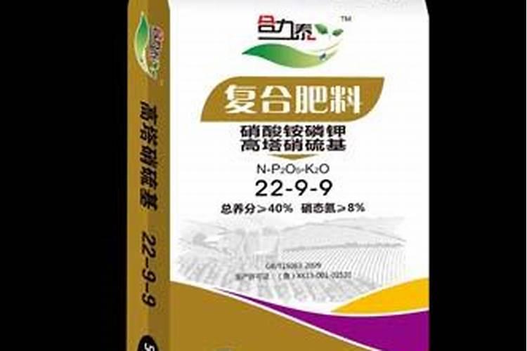 盆栽石斛施什么肥