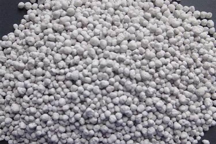 金枝玉叶喜欢酸性土还是碱性土