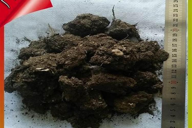 怎样鉴别肥料真假