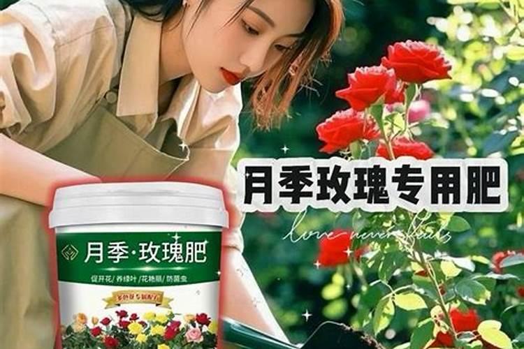 尿素可以和复合肥一起冲施吗