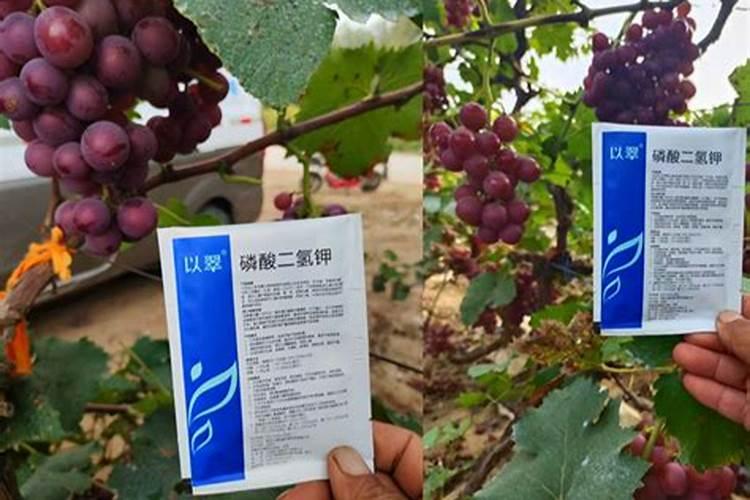 六国复合肥阜阳销售地址