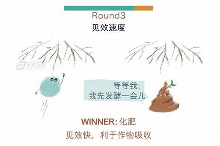 叶面肥多久被植物吸收