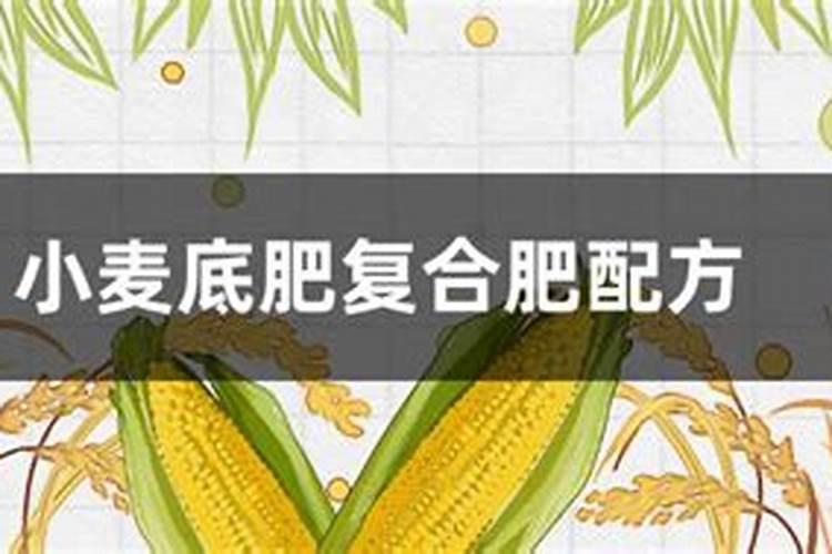 果树叶子发黄了,用什么肥料改善？